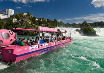 30-minute Rhine Falls boat tour with audio guide